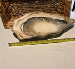 Load image into Gallery viewer, Oyster shaped platter
