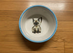Load image into Gallery viewer, Hand painted Italian Ceramic Cat Bowl |Italy Made Pet Dish | Artisan Cat Food Bowl | Dishwasher Safe Gatto Bowl
